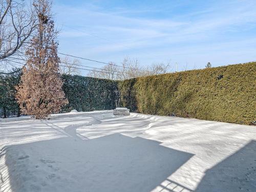 Cour - 1066 Rue Condé, Laval (Duvernay), QC - Outdoor With View