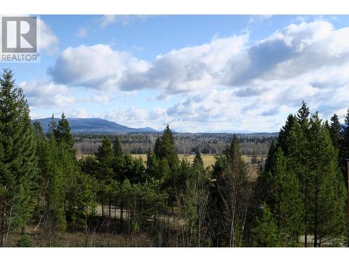3111 Niquidet Street, Horsefly, BC - Outdoor With View
