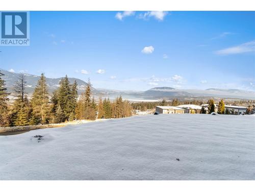 1041 19 Avenue Se, Salmon Arm, BC - Outdoor With View