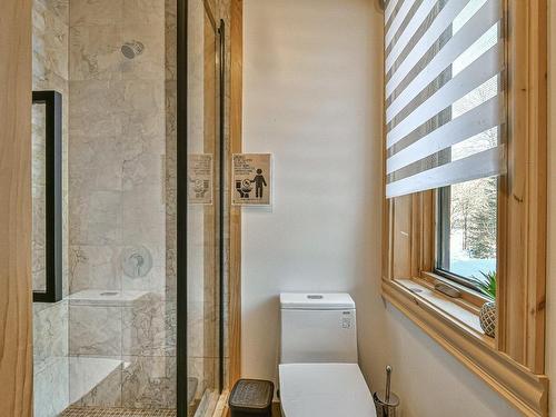 Salle de bains - 58 Ch. Du Lac-Thurson, Wentworth-Nord, QC - Indoor Photo Showing Bathroom