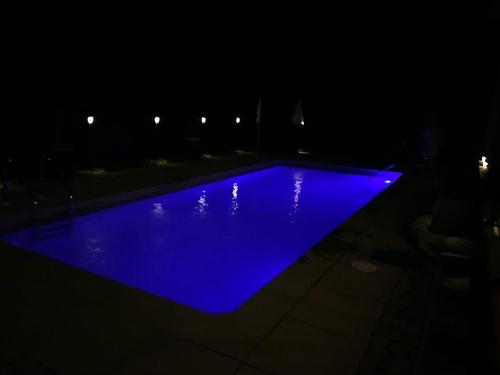 Piscine - 376 Rue St-Michel, Oka, QC - Outdoor With In Ground Pool