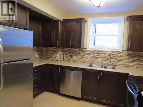 101-103 Quidi Vidi Road, St. John'S, NL - Indoor Photo Showing Kitchen With Stainless Steel Kitchen With Double Sink With Upgraded Kitchen