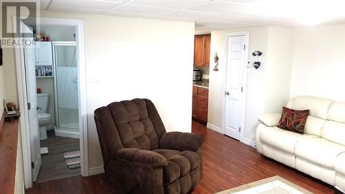 14 Richmond Street, Grand Falls-Windsor, NL - Indoor Photo Showing Living Room