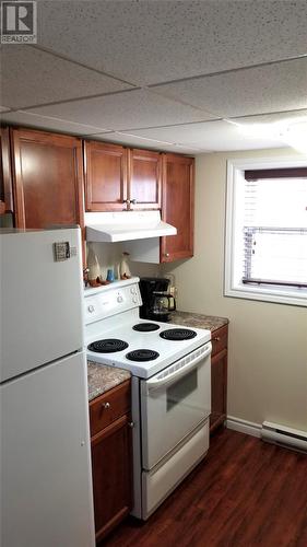 14 Richmond Street, Grand Falls-Windsor, NL - Indoor Photo Showing Kitchen
