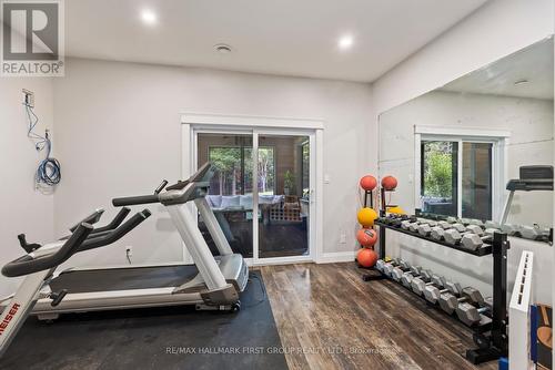 1080 Applewood Lane, South Frontenac, ON - Indoor Photo Showing Gym Room