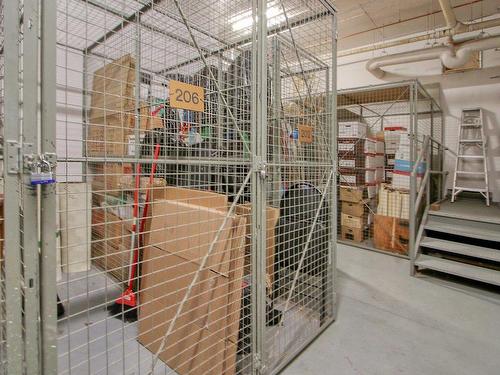 Storage - 206-4700 Rue Ste-Catherine O., Westmount, QC - Indoor With Storage