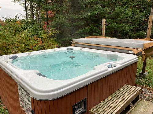 Spa - 620 Ch. Des Pionniers, Labelle, QC - Outdoor With Backyard
