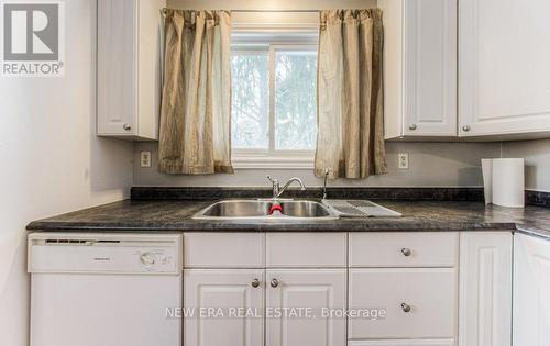 53 Duke St, Brantford, ON - Indoor Photo Showing Kitchen With Double Sink