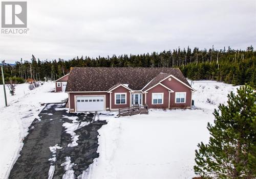 23 Winsorian Place, Portugal Cove-St. Philips, NL - Outdoor