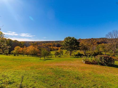 481 Chute Road, Bear River, NS 