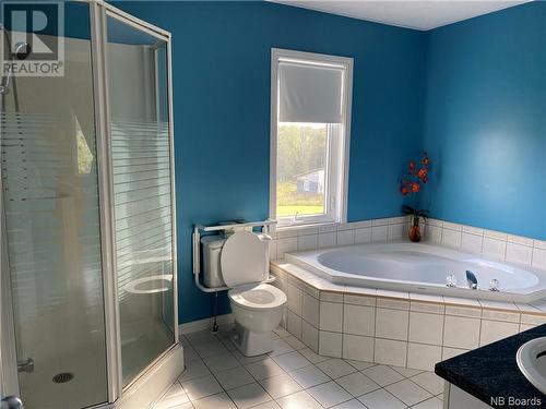 143 Rue Des Montagnes, Kedgwick, NB - Indoor Photo Showing Bathroom