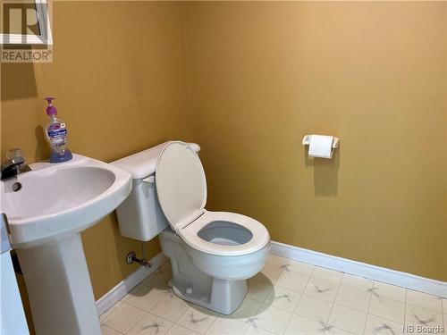143 Rue Des Montagnes, Kedgwick, NB - Indoor Photo Showing Bathroom