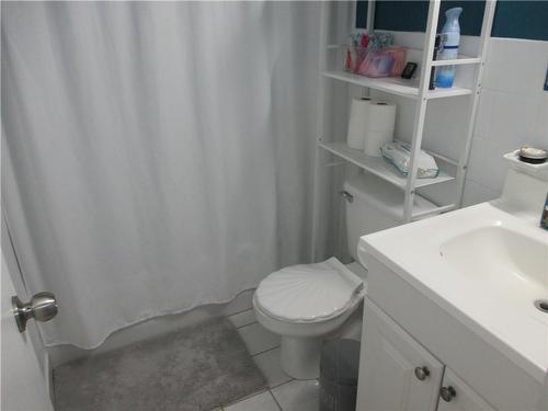 485 Thorold Road|Unit #321, Welland, ON - Indoor Photo Showing Bathroom