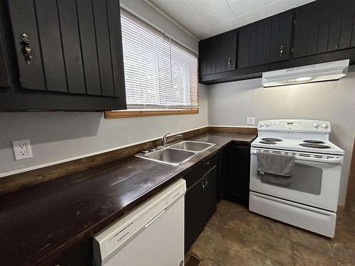 407 Atwood Avenue, Rainy River, ON - Indoor Photo Showing Kitchen With Double Sink