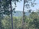 View - Rue Carver-Hill, Morin-Heights, QC 