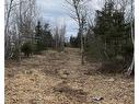 Lot 4 Shore Road, Lower Barneys River, NS 