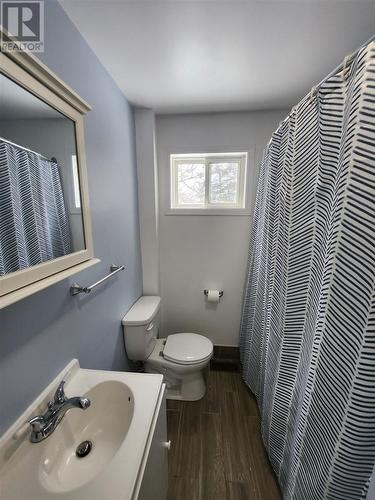56 First Ave, Wawa, ON - Indoor Photo Showing Bathroom