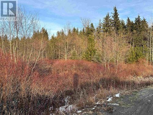 Lot 1 Old Remo Road, Terrace, BC 