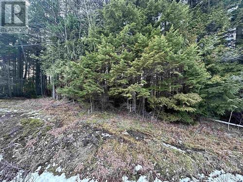 Lot 1 Old Remo Road, Terrace, BC 