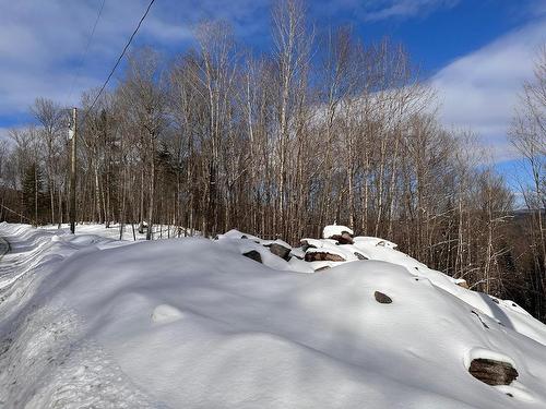 Land/Lot - Ch. Des Novateurs, La Conception, QC 