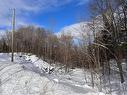 Land/Lot - Ch. Des Novateurs, La Conception, QC 