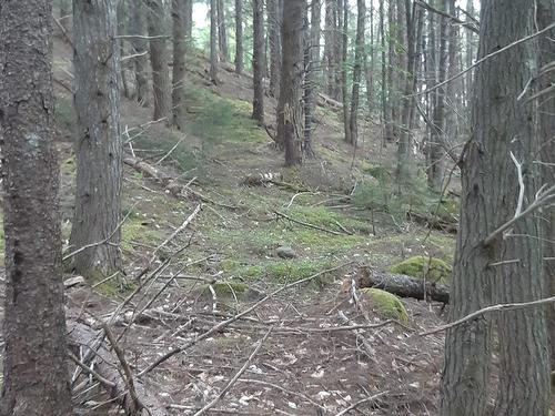 Lot Old Trunk 8, Lequille, NS 