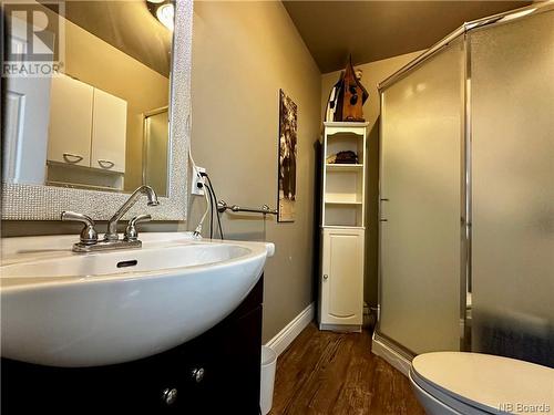 18 Rue Principale, Sainte-Anne-De-Madawaska, NB - Indoor Photo Showing Bathroom