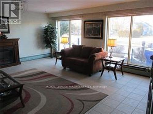 321 - 485 Thorold Road, Welland, ON - Indoor Photo Showing Living Room With Fireplace