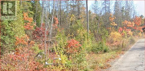 Lot 5 River Heights Rd, Marmora And Lake, ON 