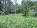 6050 Easzee Drive, 108 Mile Ranch, BC 
