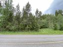 6050 Easzee Drive, 108 Mile Ranch, BC 