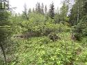 6050 Easzee Drive, 108 Mile Ranch, BC 