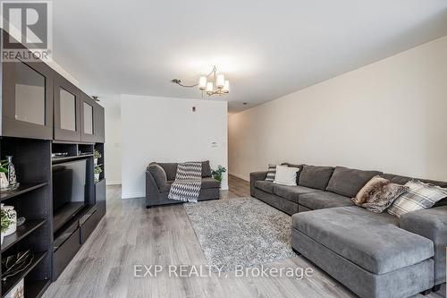 452 - 24 Southport Street, Toronto (High Park-Swansea), ON - Indoor Photo Showing Living Room