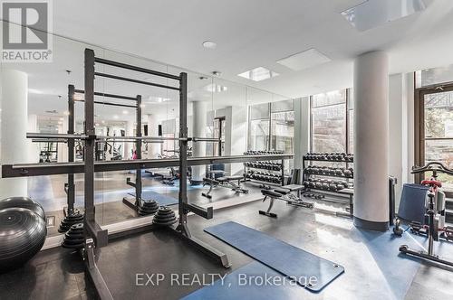 452 - 24 Southport Street, Toronto (High Park-Swansea), ON - Indoor Photo Showing Gym Room