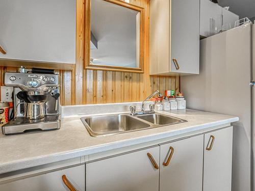 Cuisine - 1320  - 1322 Rue Vendette, Val-David, QC - Indoor Photo Showing Kitchen With Double Sink