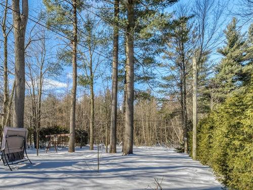 Wooded area - 6 Rue Yves-Tessier, Blainville, QC - Outdoor With View
