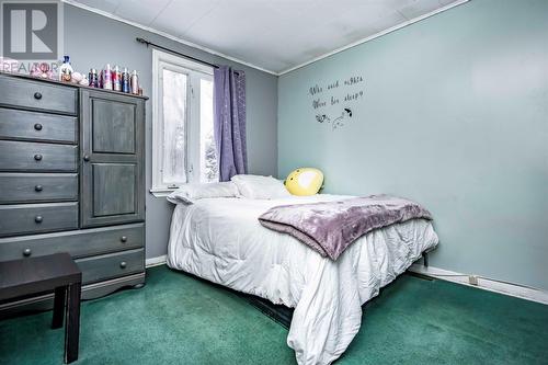 1 Harbour Drive, Harbour Main, NL - Indoor Photo Showing Bedroom