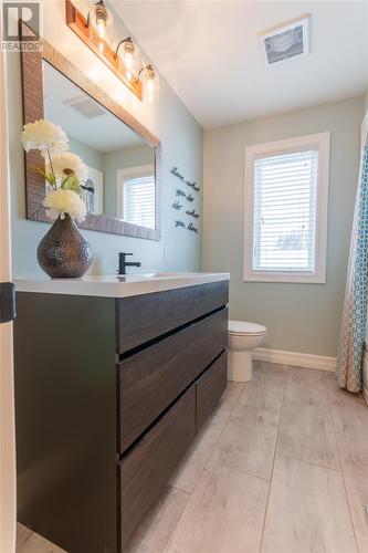 301 Sunset Boulevard, Whitbourne, NL - Indoor Photo Showing Bathroom