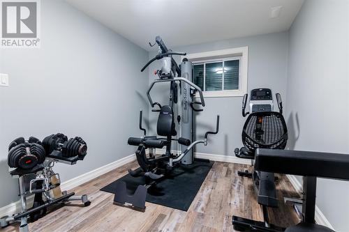 301 Sunset Boulevard, Whitbourne, NL - Indoor Photo Showing Gym Room