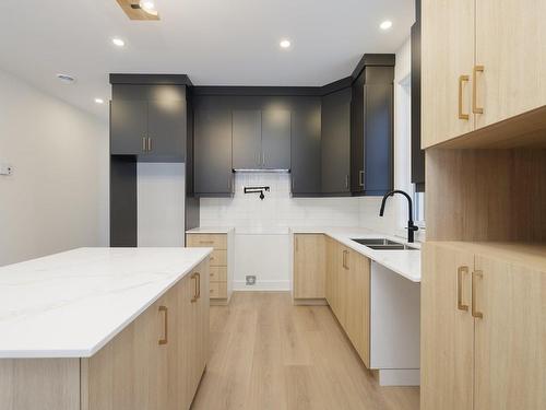 Cuisine - 102E Avenue, Notre-Dame-De-L'Île-Perrot, QC - Indoor Photo Showing Kitchen With Double Sink