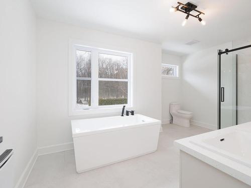 Salle de bains - 102E Avenue, Notre-Dame-De-L'Île-Perrot, QC - Indoor Photo Showing Bathroom