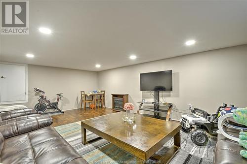 530 Victory St, Lasalle, ON - Indoor Photo Showing Basement