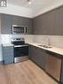 #203 -56 Lakeside Terr, Barrie, ON  - Indoor Photo Showing Kitchen With Double Sink 
