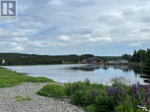 0 West Side Road, Greens Harbour, NL 