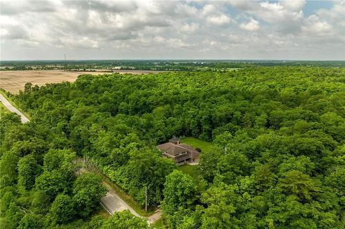 1981 Hald-Dunn Townline Road, Canfield, ON - Outdoor With View