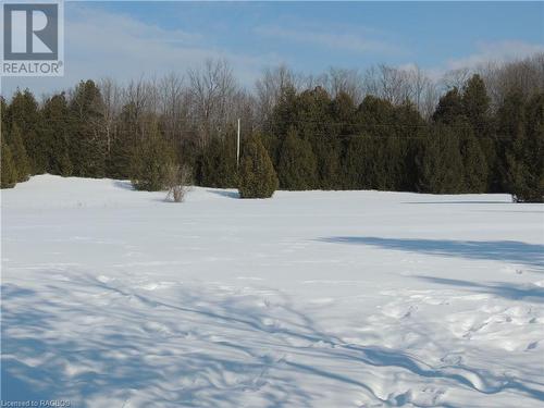 523635 Concession 12 Road, West Grey, ON - Outdoor With View