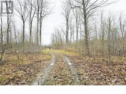 14391 County  15 Road, Merrickville, ON 