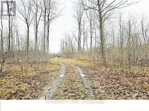 14391 County  15 Road, Merrickville-Wolford, ON 