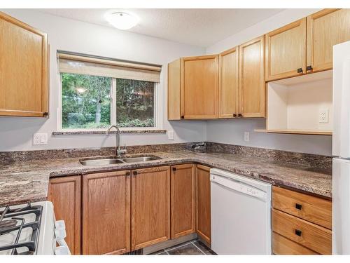 1-1129A 2Nd Ave, Ladysmith, BC - Indoor Photo Showing Kitchen With Double Sink
