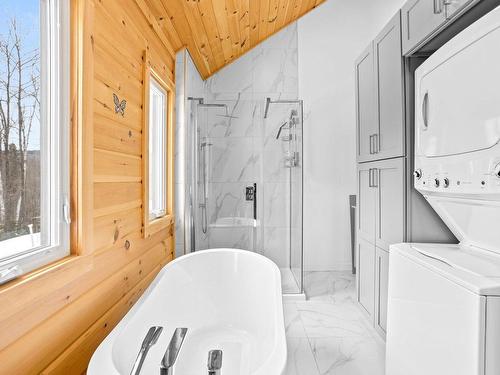 Salle de bains - 234 Ch. Des Cormiers, Piedmont, QC - Indoor Photo Showing Laundry Room